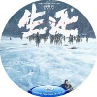 生还  2025最新国产战争力作,第一次用电影方式讲述了抗联后期从突围到整编为教...