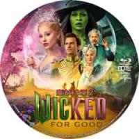 评分：6 魔法坏女巫2 （美国2025年朱浩伟执导的奇幻歌舞片《魔法坏女巫2》根...