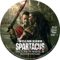 斯巴达克斯：亚述家族(2碟)超级大剧！12年磨一剑！暴力血腥超级尺度最美剧情！设定以《斯巴达克斯：复仇》第二季结局为背景，虚构了角色阿舒尔（尼克·塔拉贝饰）未在维苏威山死亡的情节，讲述阿舒尔因协助罗马人击杀斯巴达克斯、镇压奴隶起义，获得原属