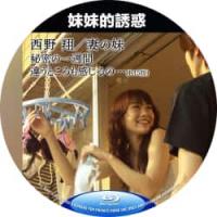 妹妹的誘惑 2009 画质一般  介绍：西野翔 主演日本情欲佳作，姐夫与小姨子的...