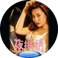 夜挑情 1993介绍：港产*级QS惊悚片，讲述了名校高材生安儿极具反社会人格的扭曲复仇故事。汤镇业 陈蓓琪 周弘 主演，福利满满 诚意十足！